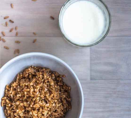 免费短信轰炸机试用